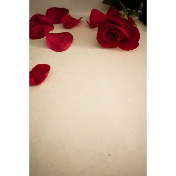 Rose Petal 